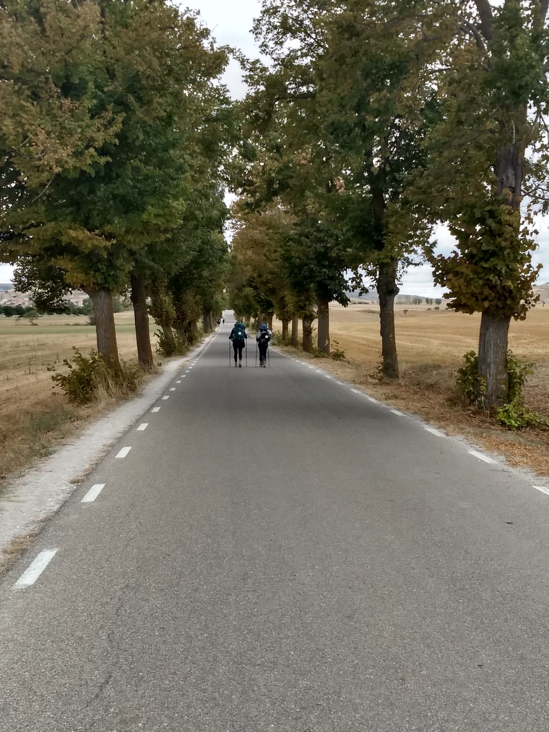 IMG_20181008_124456632_HDR.jpg