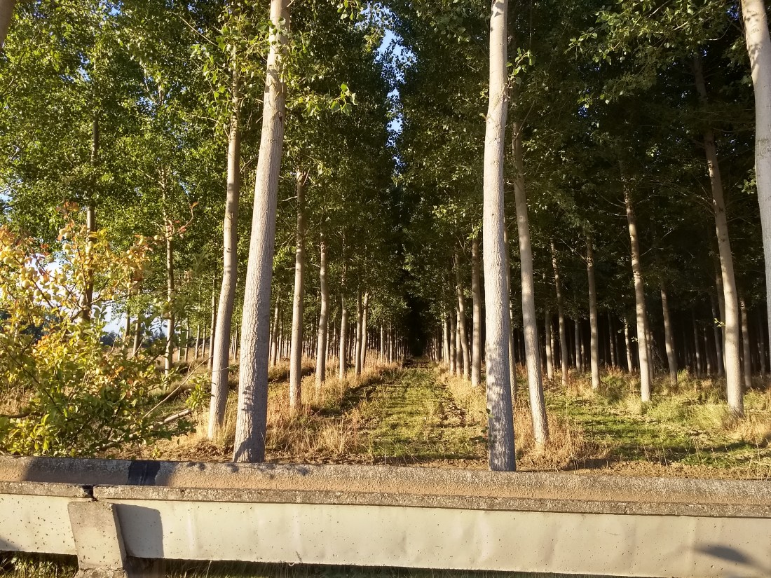 IMG_20181010_092234925_HDR.jpg